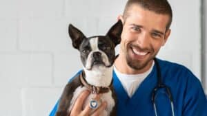 ביטוח רפואי לכלב